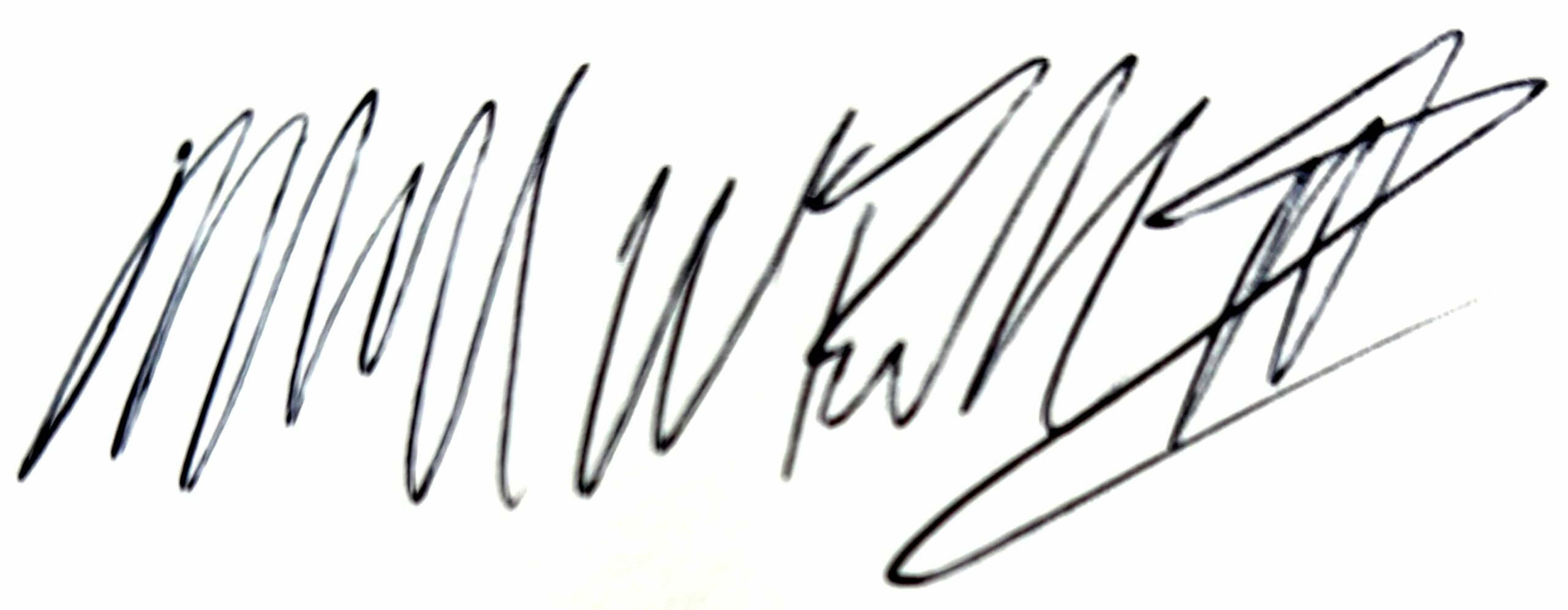 Marshall Loves Portland